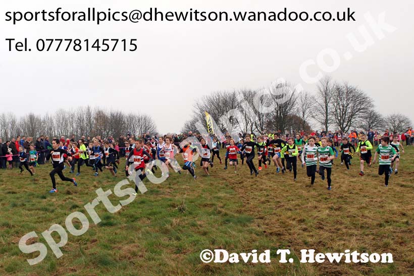 Under-11s NEHL, Aykley Heads, Durham. Photo: David T. Hewitson/Sports for All Pics